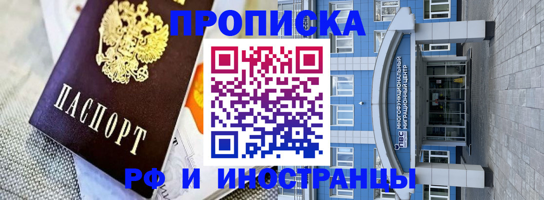 прописка законно в Шилке